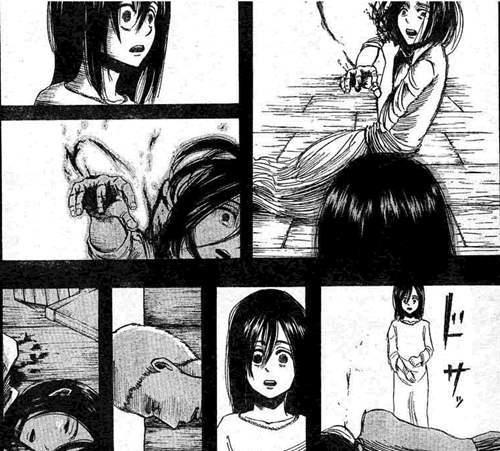 剧透慎入 進擊の巨人 人物分析之十 三笠阿克曼 绽放于残酷的世界