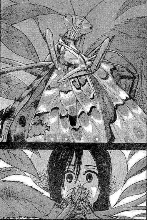 剧透慎入 進擊の巨人 人物分析之十 三笠阿克曼 绽放于残酷的世界