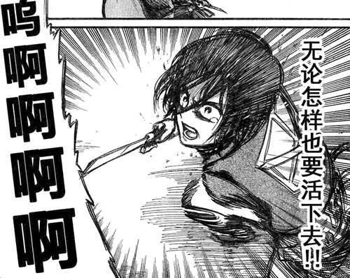 剧透慎入 進擊の巨人 人物分析之十 三笠阿克曼 绽放于残酷的世界