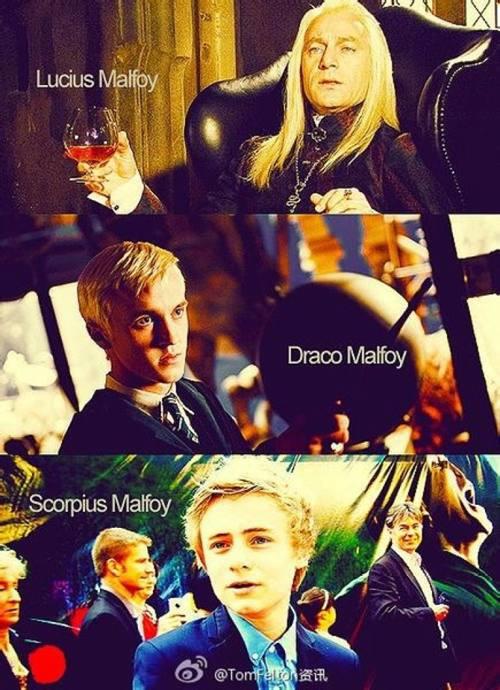 德拉科马尔福历史资料