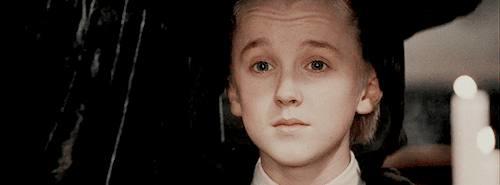 德拉科马尔福历史资料