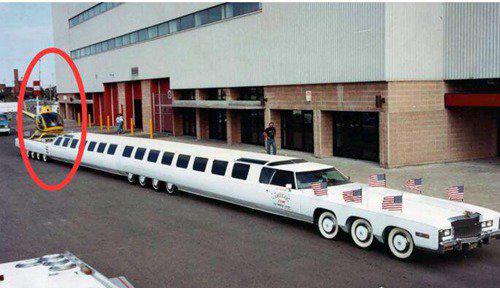 吉尼斯世界上最长的东西