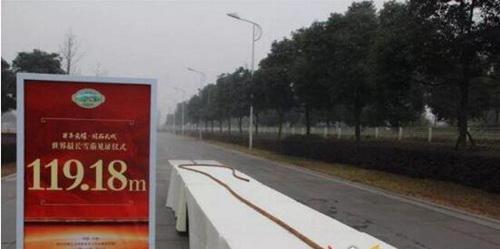 吉尼斯世界上最长的东西