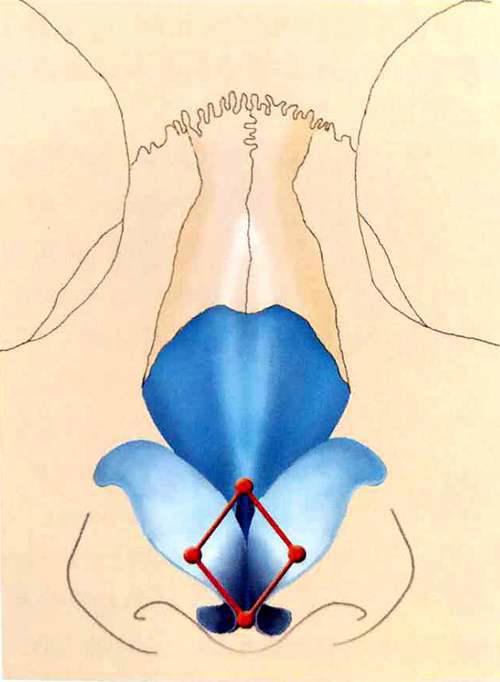 拥有高翘鼻尖的三种方法