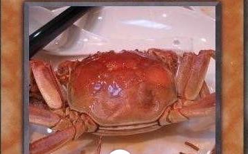 网红十大神兽排行榜