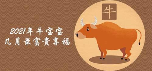 2021年牛年是什么命
