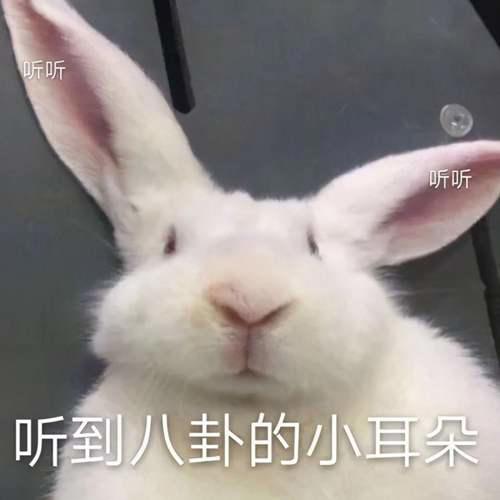 人们为啥喜欢“吃瓜” 吃瓜是什么意思啊内涵