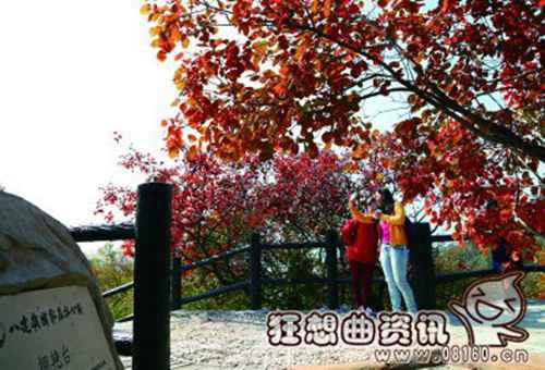 香山红叶在什么时候最红？