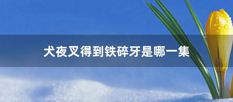 犬夜叉得到铁碎牙是哪一集 (犬夜叉黑色铁碎牙)