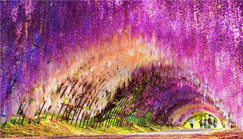 10大世界上最美的地方