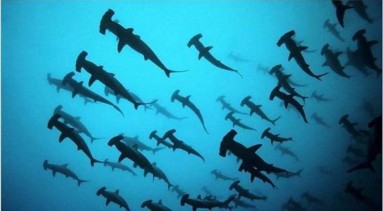 世界十大地理系列 伯利兹大蓝洞