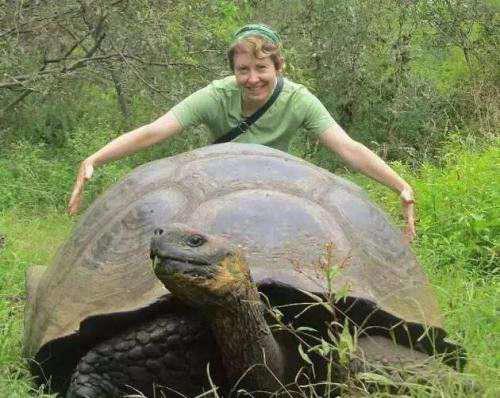 世界上最大的乌龟排名