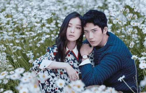 杨紫秦俊杰分手之后 才知道明星扎堆儿分手的真相原来是这几点