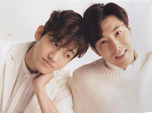 明星们的粉丝名你家粉丝名是啥