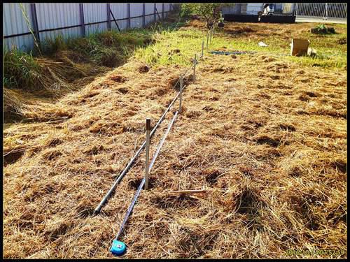 家庭温室怎么建造 温室建造