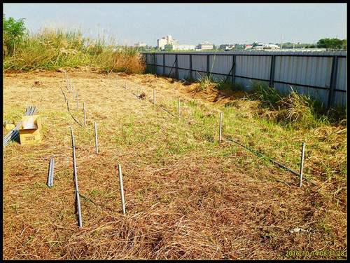 家庭温室怎么建造 温室建造