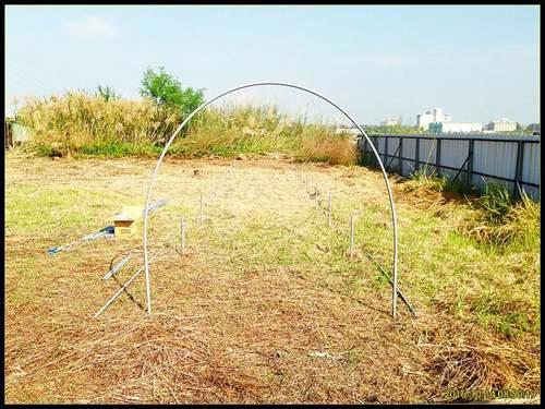 家庭温室怎么建造 温室建造