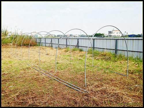 家庭温室怎么建造 温室建造