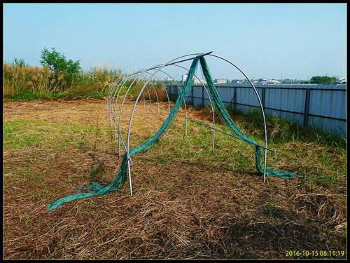 家庭温室怎么建造 温室建造