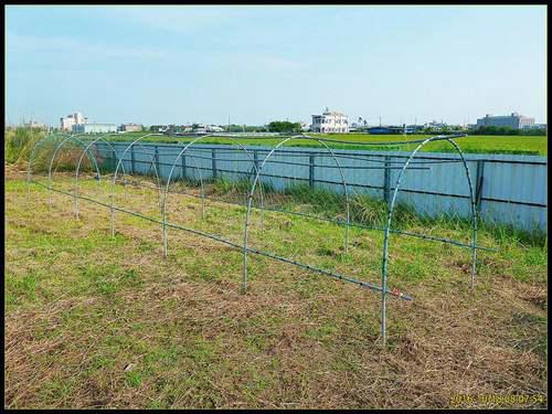 家庭温室怎么建造 温室建造