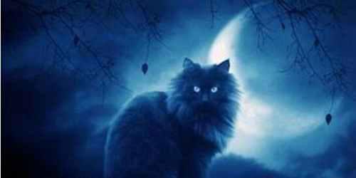 十大手贱不能搜的词条