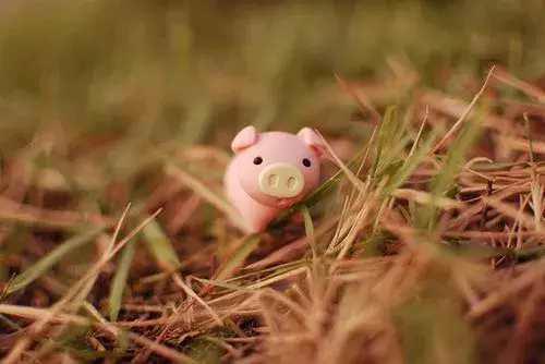 最新搞笑个性签名