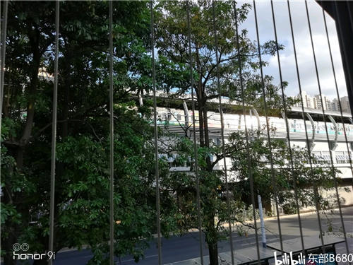 平冈中学概况521放学见闻