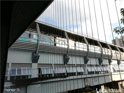 平冈中学概况521放学见闻