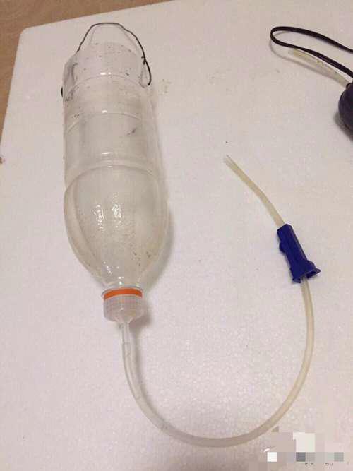 丰年虾的孵化方法