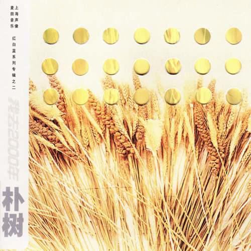 树语 的发展历程