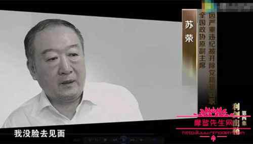 蔡成功的原型是第一老赖章主恩