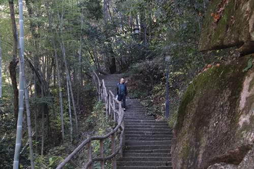 黄山景区超详细攻略 让你一天游完黄山