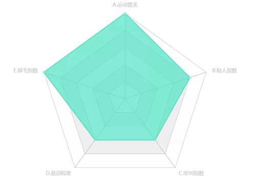 犬类知识科普丨萨摩耶