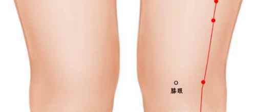 足三里穴位位置图和作用