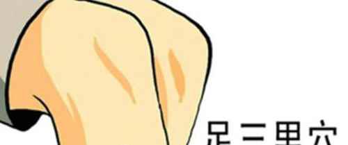 足三里穴位位置图和作用