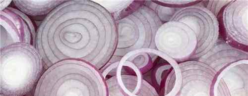 家庭消灭蟑螂的6种简单可行的方法