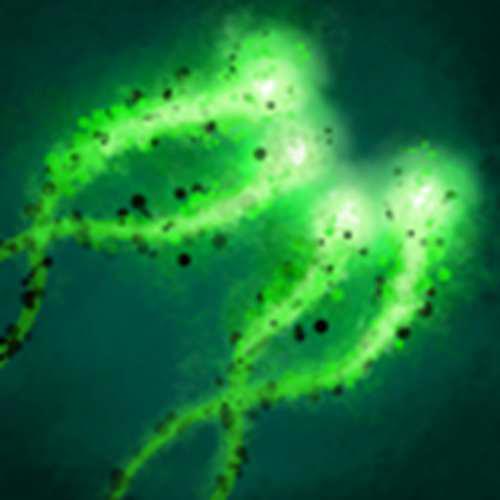 dotaomg全英雄模型技能浅析 冥界亚龙