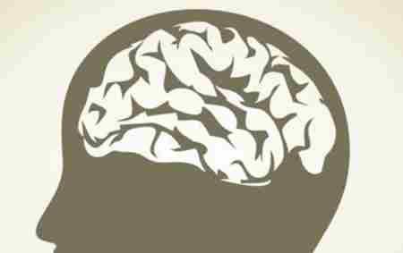 大脑开发100% 就成神了？