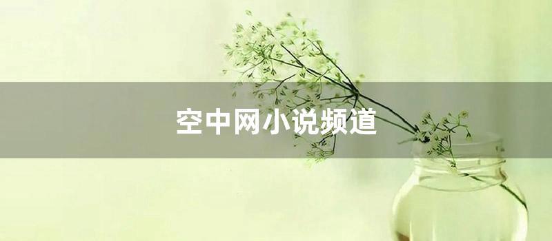 空中网小说频道