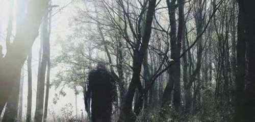 平行时空的真实案例