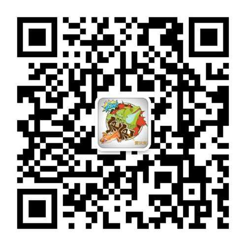就因为尾巴是蓝的 这种小蜥蜴在国内竟然都被叫做 蓝尾石龙子 艾路雷朵
