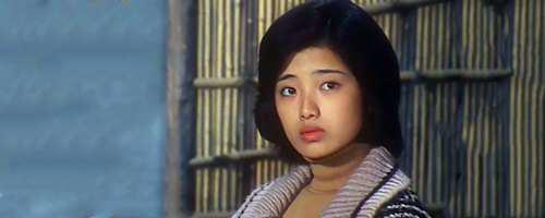 日本电视剧血疑主题歌叫什么