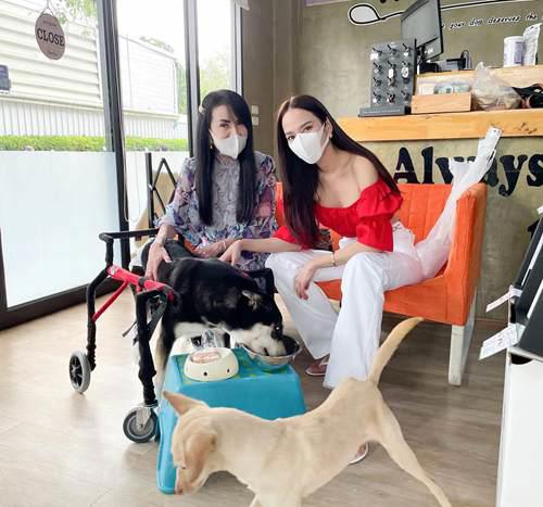 泰娱天花板 AumP 纯泰血统之光 出道20年仍是顶流