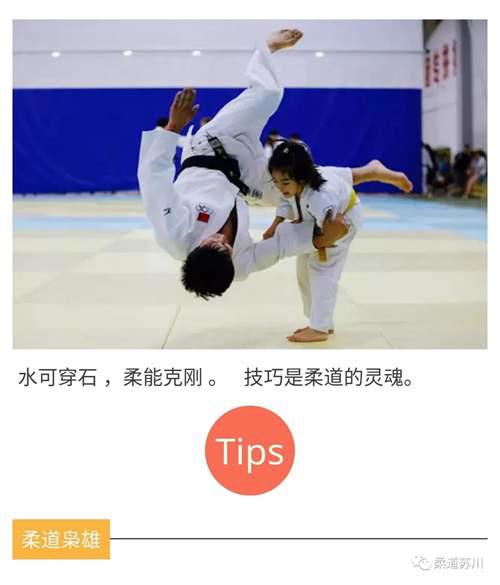 什么是柔道