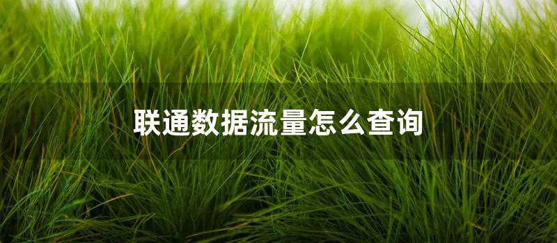 联通数据流量怎么查询 (联通数据流量查询指令)