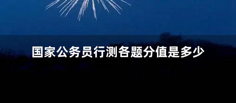 国家公务员行测各题分值是多少 (2021国家公务员行测答案)