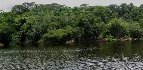 世界上最大的平原是亚马逊平原