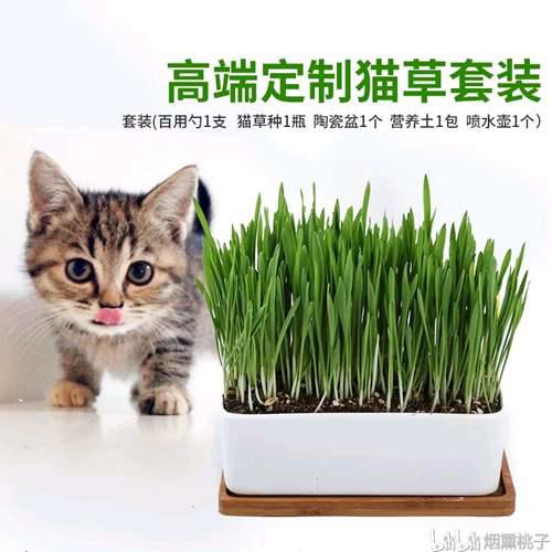 精酿啤酒原料之麦芽篇