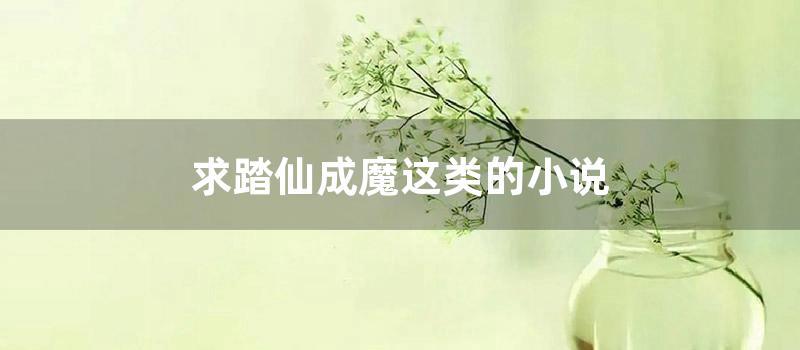 求踏仙成魔这类的小说