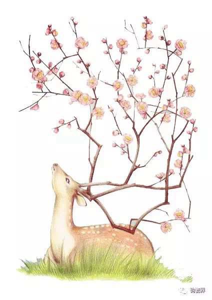 最美禅诗一百首 极力推荐收藏